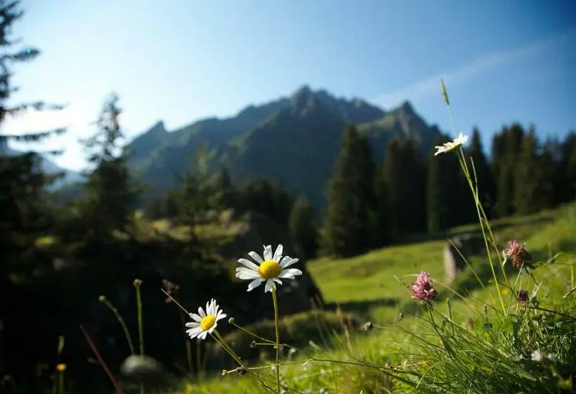 バルコニー付きシングルスタンダードルーム, Familienhotel Mateera Gargellen / Montafon