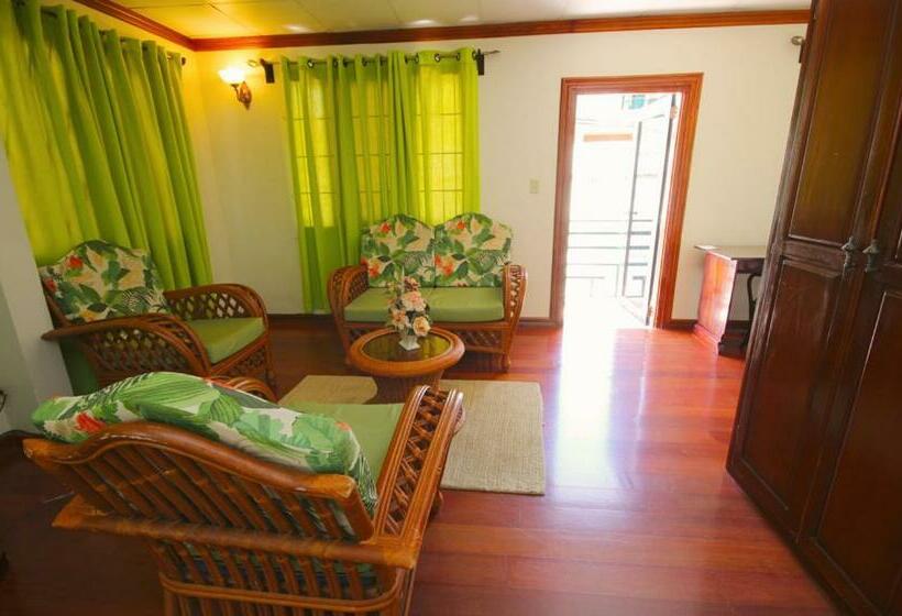 استودیو استاندارد با تخت کینگ, Brandsville