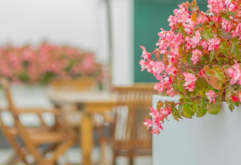 Номер Стандарт Индивидуальный, Comercial Azores Boutique