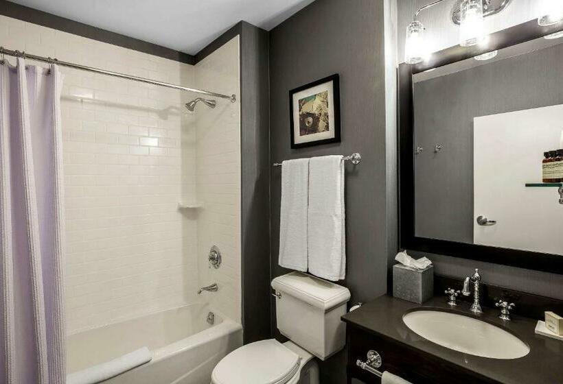 اتاق استاندارد با تخت بزرگ, Envision Bostoneverett, Ascend Collection