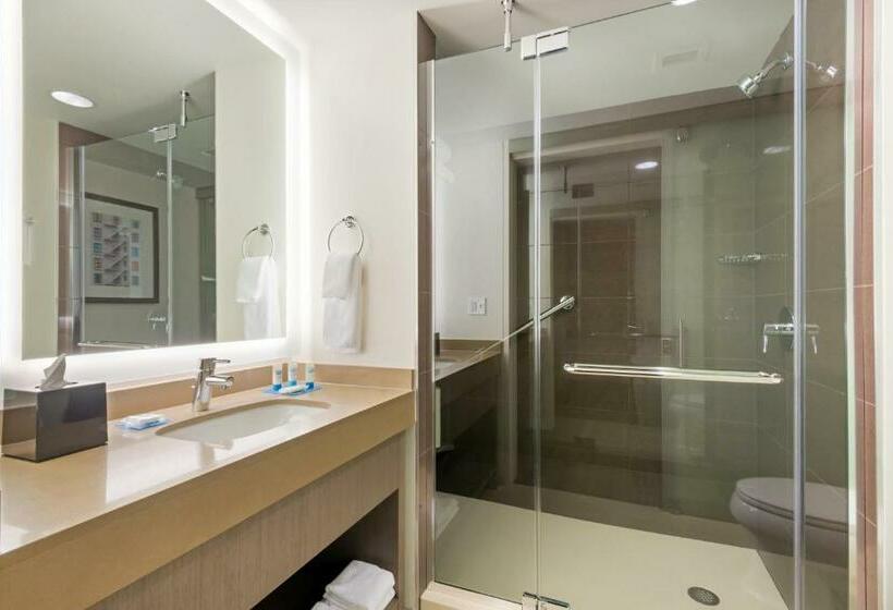 Люкс Кровать Кинг, Hyatt House Denver/downtown