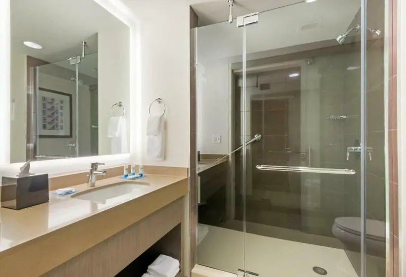キングサイズベッドのスイートルーム, Hyatt House Denver/downtown