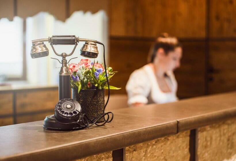 Номер Economy, Living & Spa Vitalhotel Edelweiss