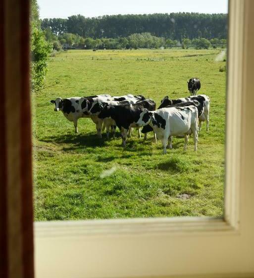 Номер Superior, Ter Polders