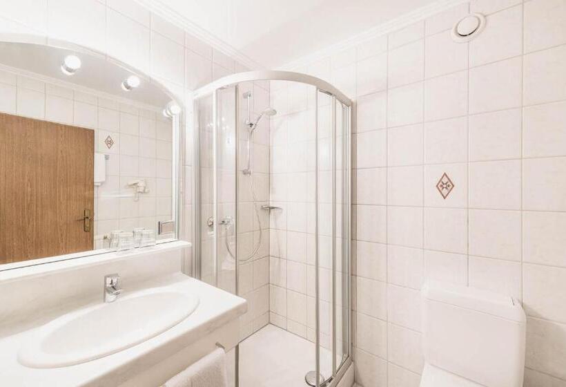 Номер Стандартный с Видом, Living & Spa Vitalhotel Edelweiss