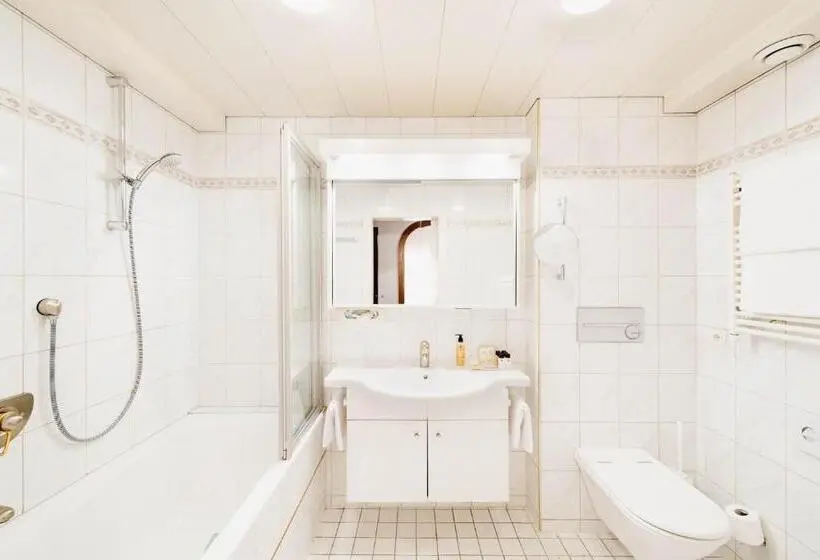 Habitaciï¿½n Estï¿½ndar Abuhardillada, Living & Spa Vitalhotel Edelweiss