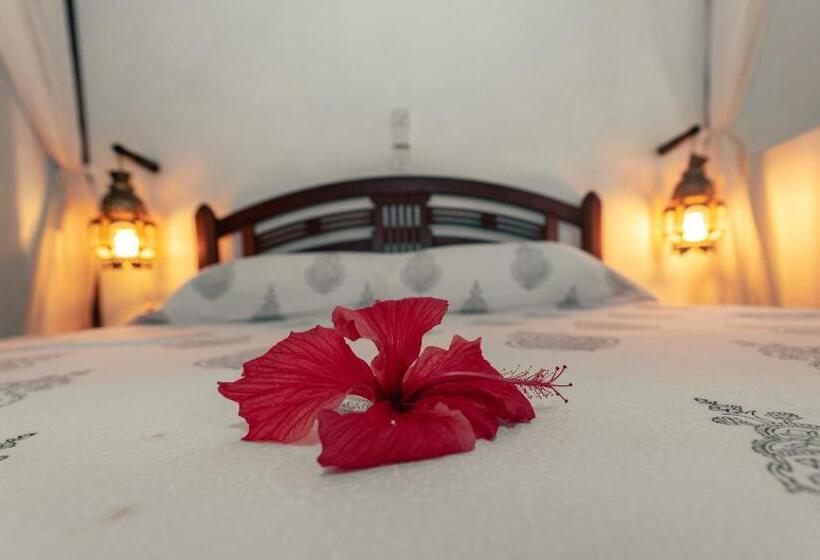 سوییت سوپریور, Kijani