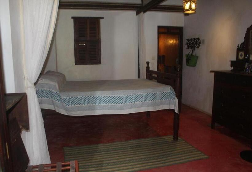 سوییت سوپریور, Kijani