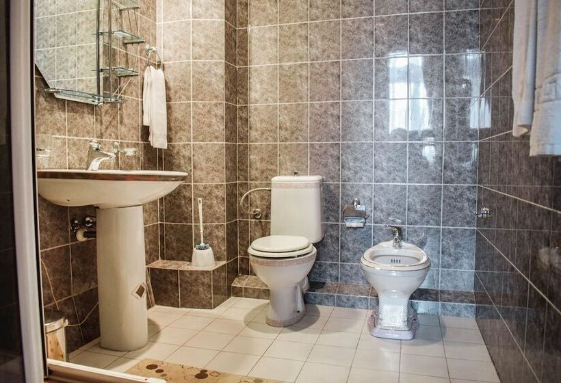 اتاق استاندارد سه نفره, Araks Hotel Complex