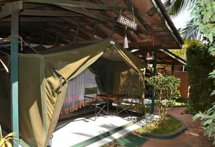 标准单人间, Impala Safari Lodge