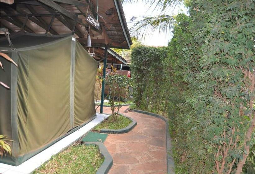 标准间, Impala Safari Lodge