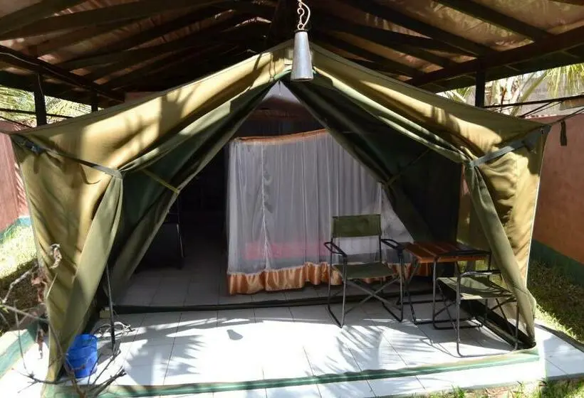 اتاق استاندارد یک نفره, Impala Safari Lodge