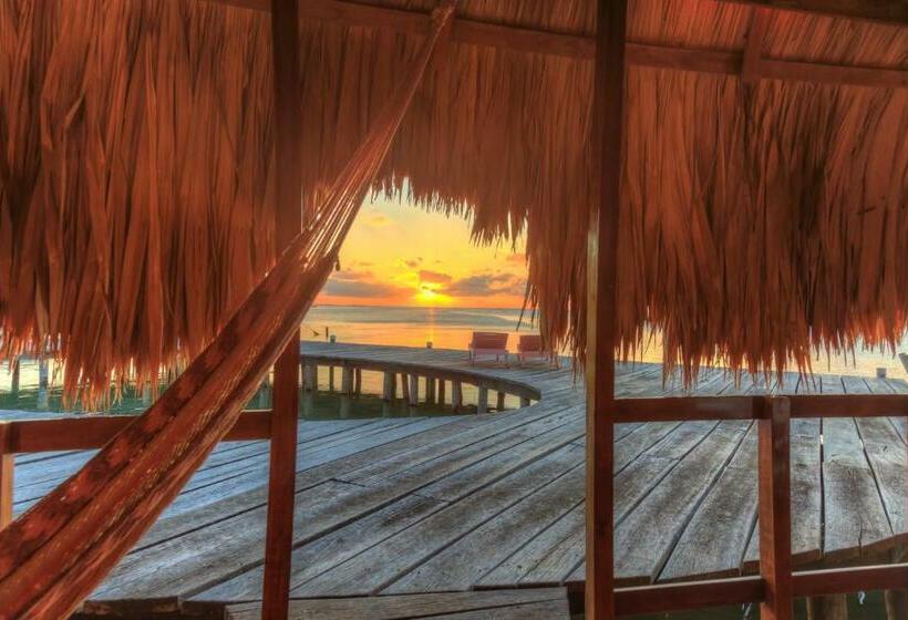 بنجلو قياسى, St. George's Caye Resort