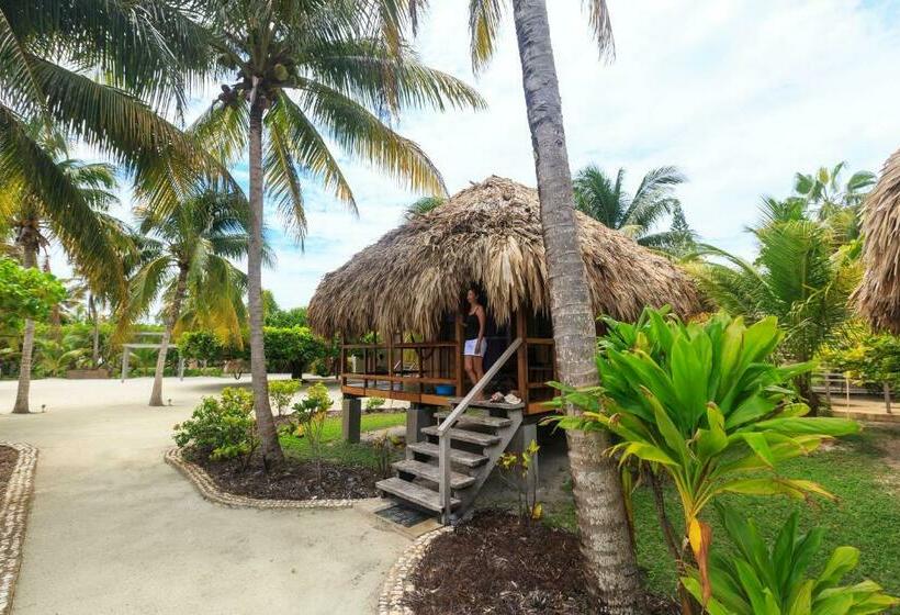 바다 전망 스탠다드 방갈로, St. George's Caye Resort