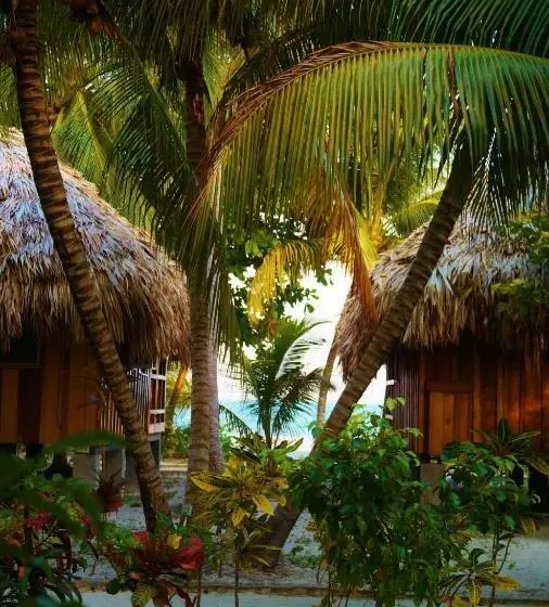 ガーデンビューのスタンダードバンガロー, St. George's Caye Resort