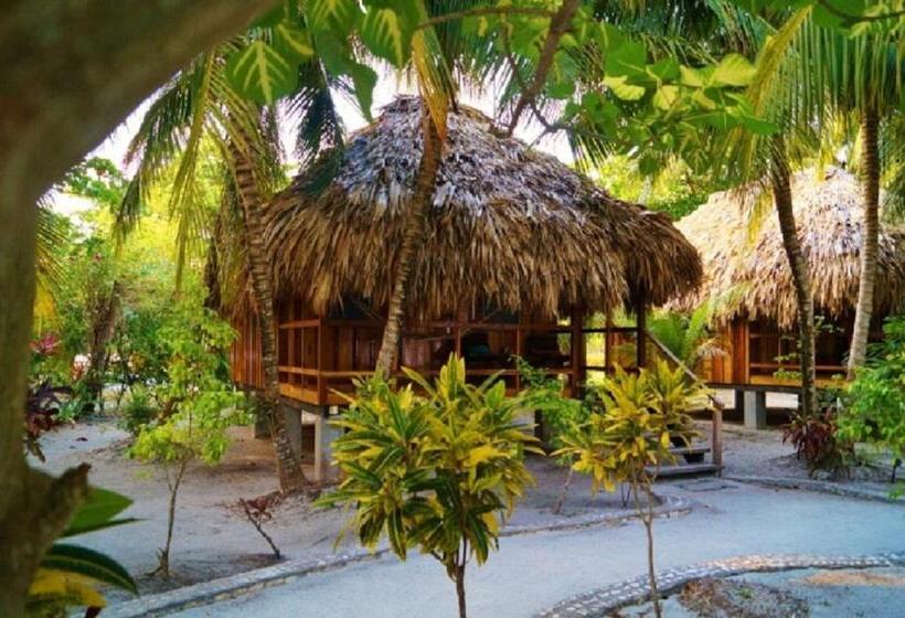 بنجلو قياسى مطلّ علي الحديقة, St. George's Caye Resort