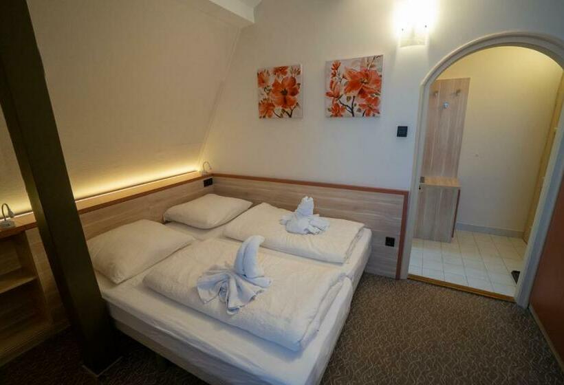 اتاق استاندارد, Szilvia Gästehaus