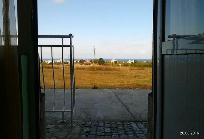 חדר סטנדרט עם מרפסת, Complex Exotica