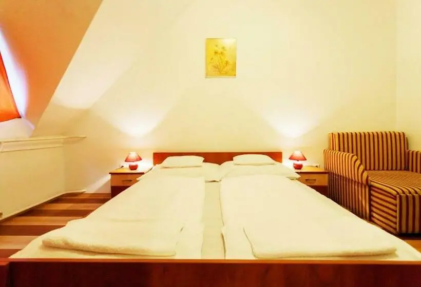 スタンダードルーム, Juniperus Park Hotel Kecskemét