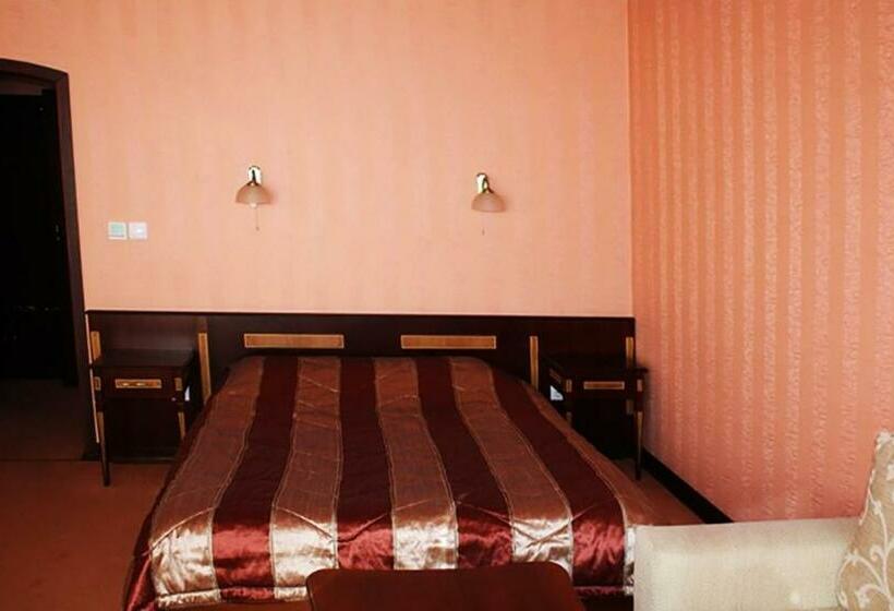 استودیو استاندارد با تخت کینگ, Family Hotel Lazur