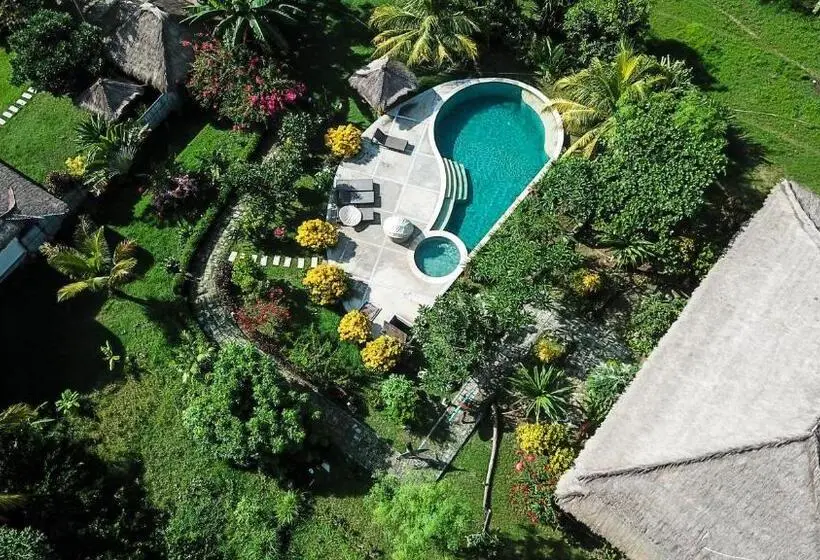 Perhebungalow, Owa Lodge Areguling
