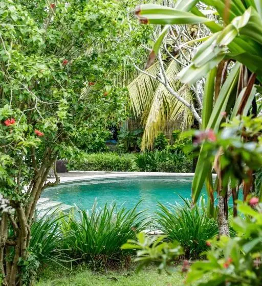 Perhebungalow, Owa Lodge Areguling
