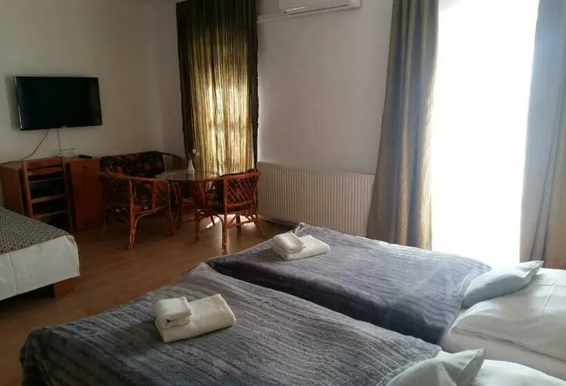 Standard Kolmen Hengen Huone, Retro Panzió