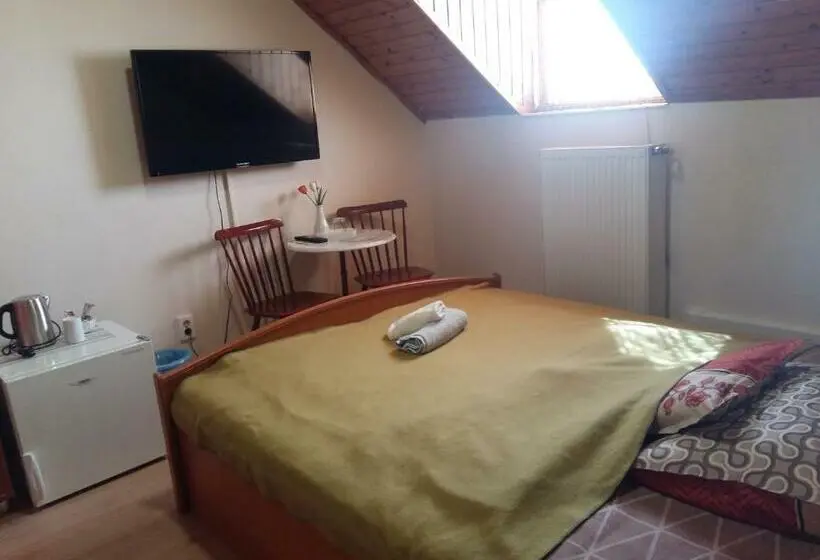 Standard-huone, Retro Panzió