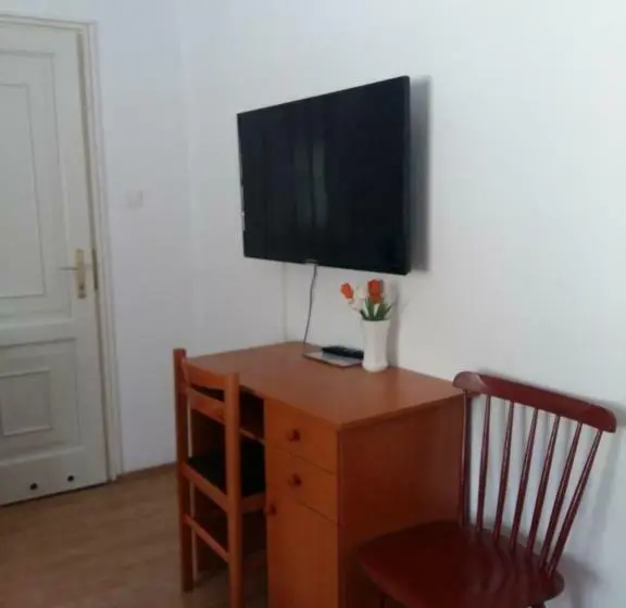 Standard-huone, Retro Panzió