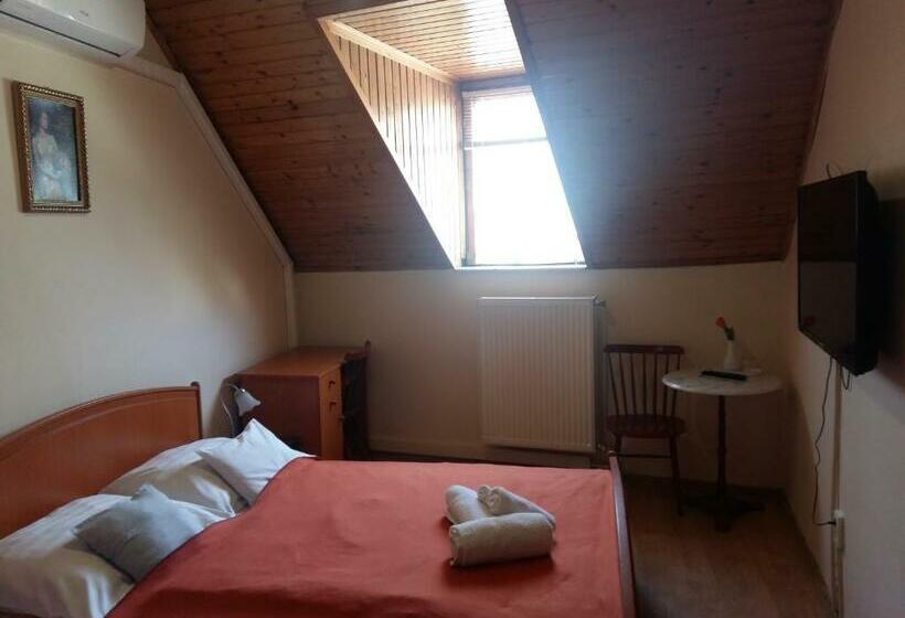 スタンダードルーム, Retro Panzió