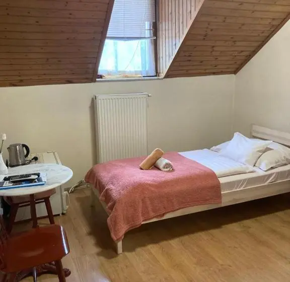 Standard Yhden Hengen Huone, Retro Panzió