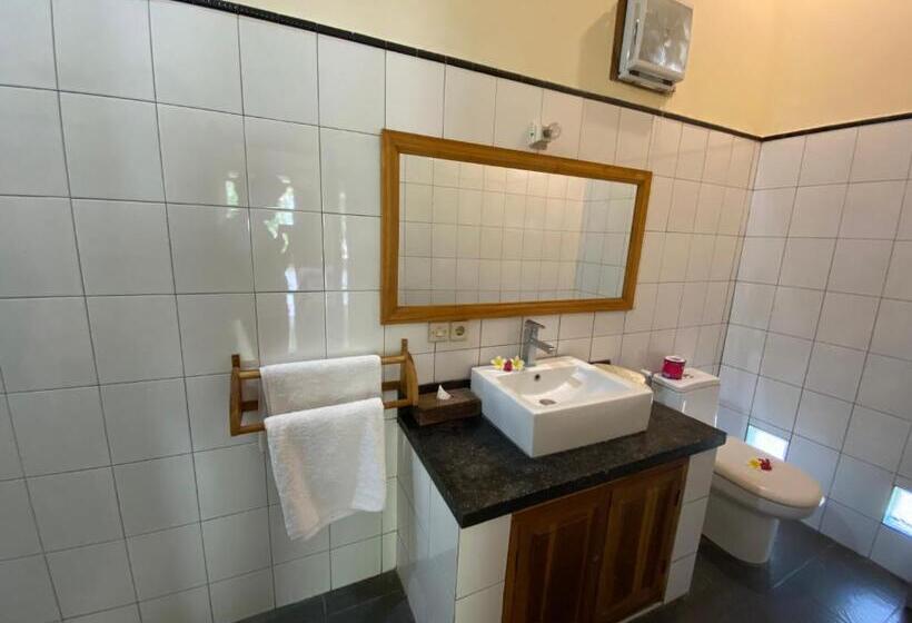 豪华洋房, New Starlight Hotel Lovina