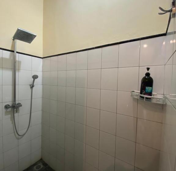 豪华洋房, New Starlight Hotel Lovina