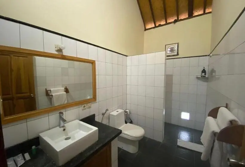 , New Starlight Hotel Lovina