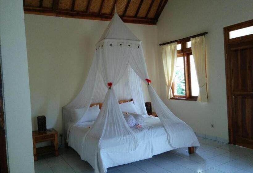 , New Starlight Hotel Lovina