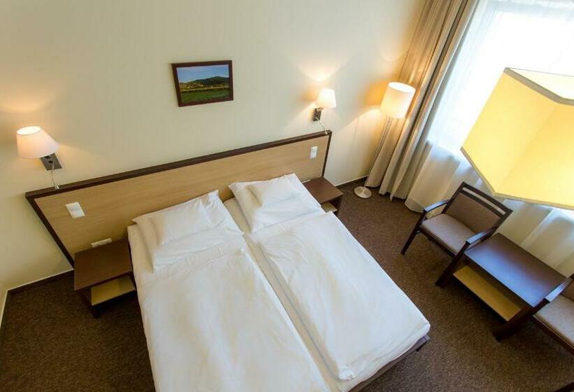 חדר סטנדרט, Tokajvár