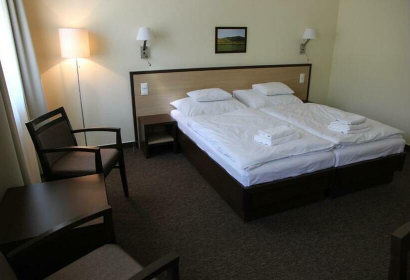 חדר סטנדרט, Tokajvár