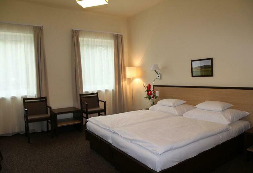 חדר סטנדרט, Tokajvár