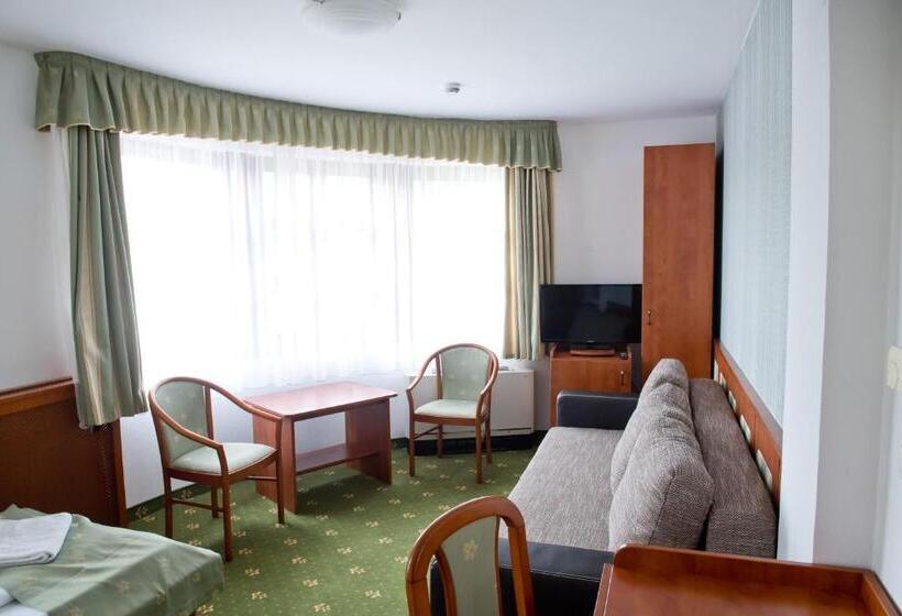 חדר סטנדרט, Toldi Fogadó