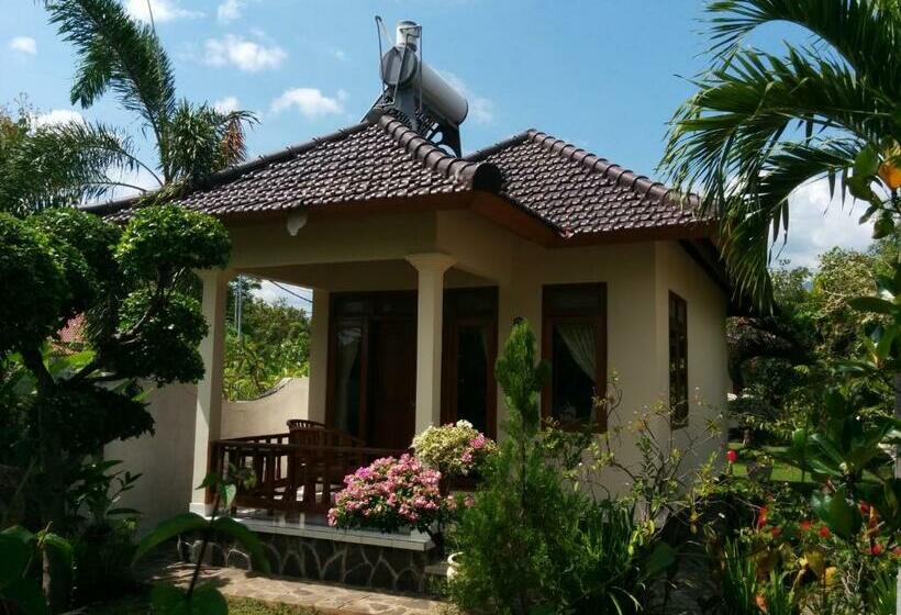 豪华洋房, New Starlight Hotel Lovina