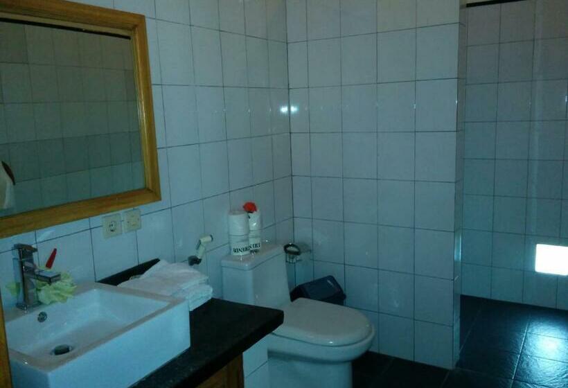 بنجلو ديلوكس, New Starlight Hotel Lovina