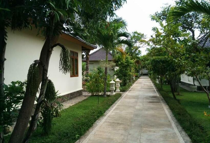 بنجلو ديلوكس, New Starlight Hotel Lovina