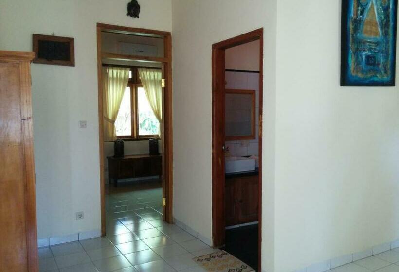 豪华洋房, New Starlight Hotel Lovina