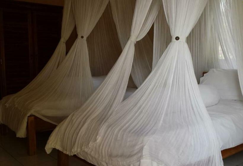 بنجلو ديلوكس, New Starlight Hotel Lovina