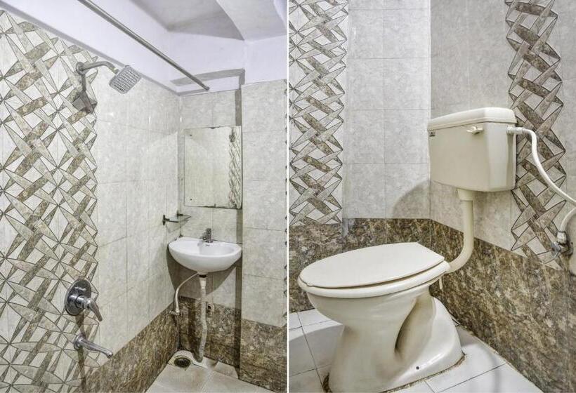 Quarto Estandar, Vishwa