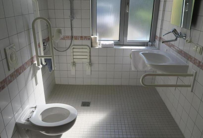 장애인을 위한 스탠다드 룸, Spectrum Kirche Exerzitien Und Bildungshaus Auf Mariahilf