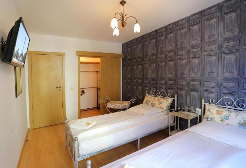 חדר סטנדרט חדר אמבטיה משותף, Family Hotel Amor