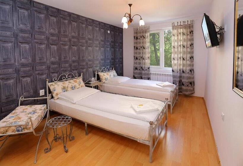 اتاق استاندارد با سرویس بهداشتی مشترک, Family Hotel Amor