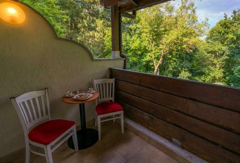 バルコニー付きスタンダードルーム, Family Park Hotel Kyoshkove