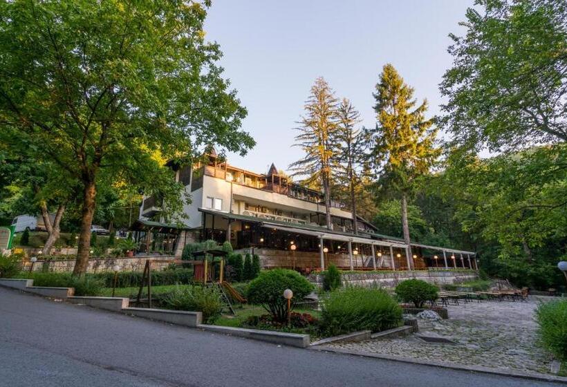 １ベッドルームドゥプレックスアパートメント, Family Park Hotel Kyoshkove